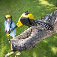 Mulching Services in Harbor Isle, NY
